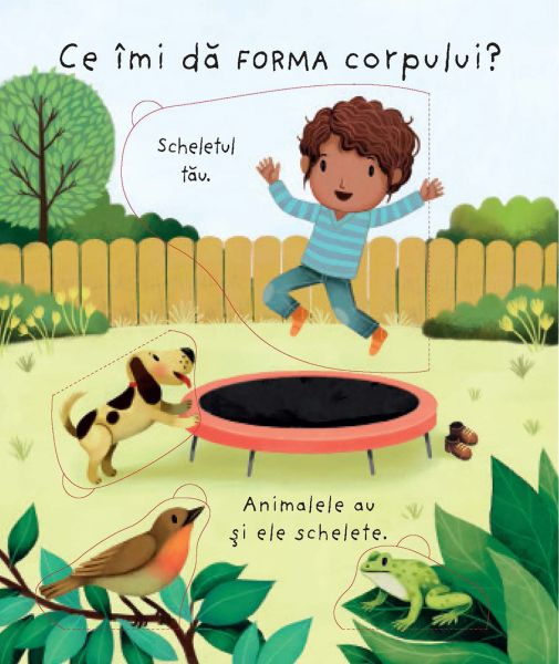 Ce se afla inauntrul meu? (Usborne) [4]