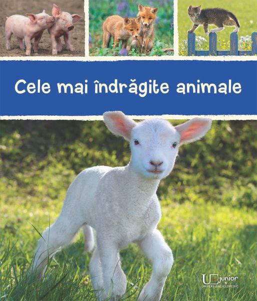 Cele mai indragite animale [1]