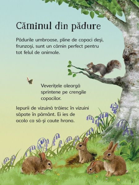 Cine traieste in padure? (Usborne) [3]
