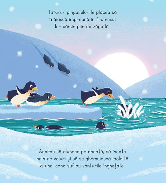 Dilly cea minunat de diferită – carte ilustrată pentru copii 3-7 ani [2]