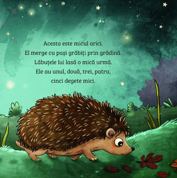 Invat despre natura. Ariciul [3]