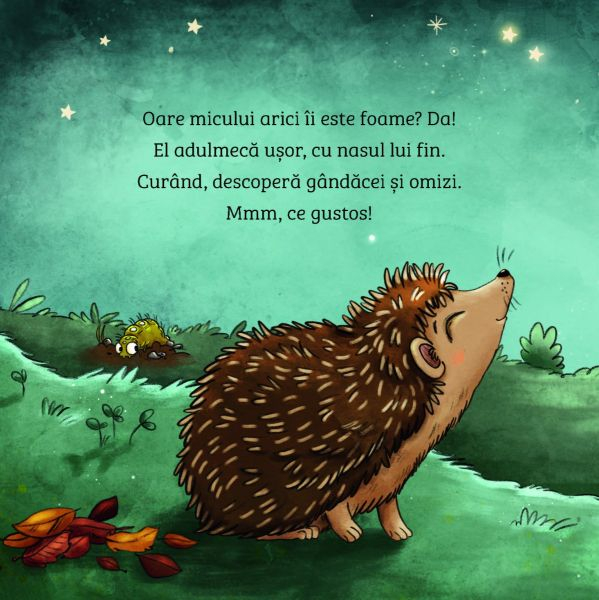 Invat despre natura. Ariciul [4]