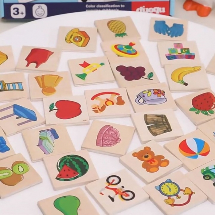 Joc educativ tip Montessori, asocieri de umbre si imagini, Shadow Paired, multicolor, 3 ani+ [6]
