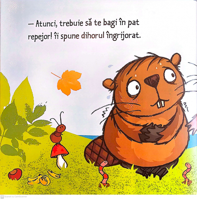 Micul castor are febra [2]