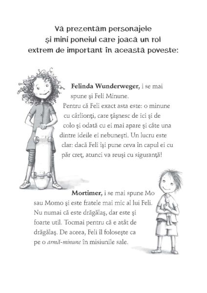 Molli Minipony. Un ponei zburator [4]