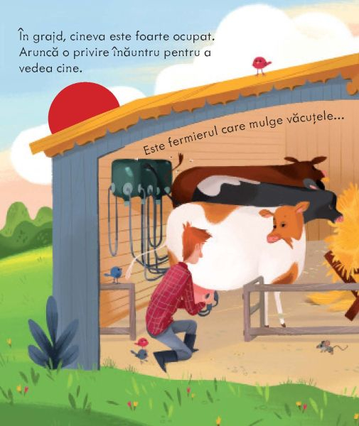 O ferma (Usborne) [4]