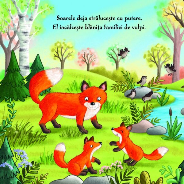 Primăvara în pădure – carte pentru copii [4]