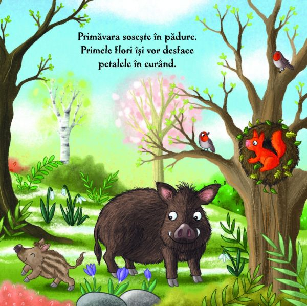 Primăvara în pădure – carte pentru copii [3]