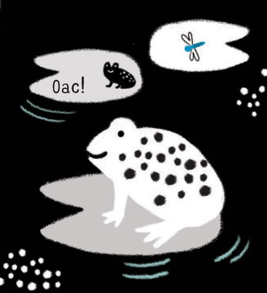 Primele mele carti Alb&Negru - Animalele (Usborne) [5]
