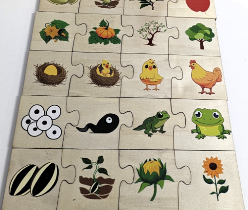 Puzzle de asociere din lemn cu 4 piese, 24 piese [4]