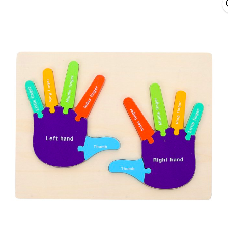 Puzzle de tip Montessori, Mana drepta si stanga, 12 piese, 3 ani+,  Multicolor [4]