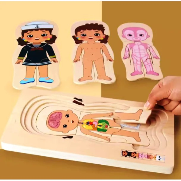 Puzzle din lemn in 5 straturi, Aanatomie Corpului Uman, Fetita [4]