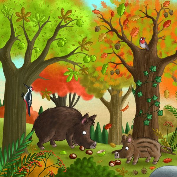 Toamna in padure [2]