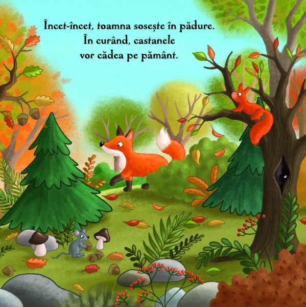 Toamna in padure [3]