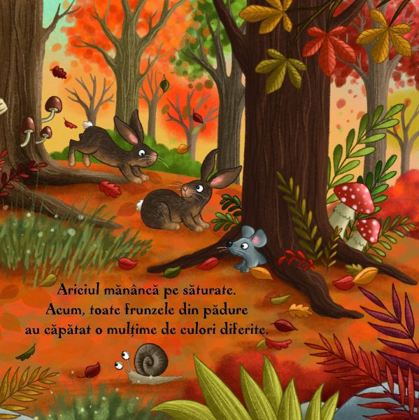 Toamna in padure [4]