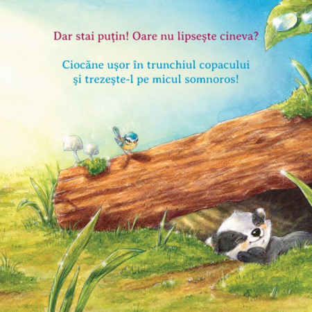 Ajuta-ma sa zambesc [2]