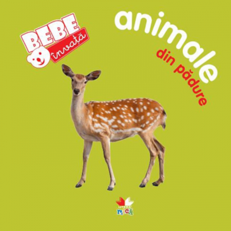 CĂRȚI - Animale Din Padure. Bebe Invata