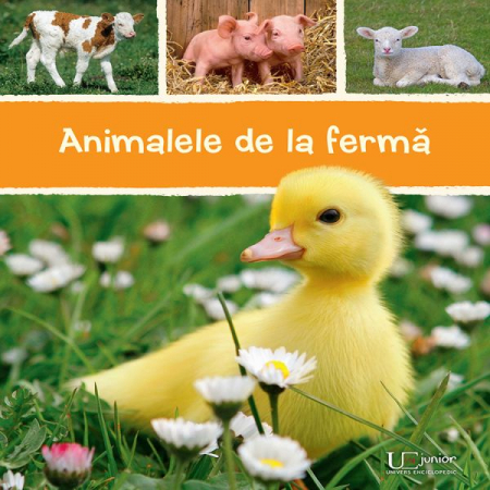 Vârsta 3-5 ani - Animalele de la ferma
