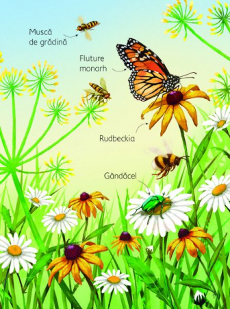 Anotimpurile (Usborne) [3]