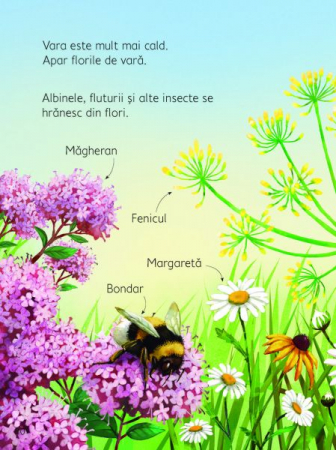 Anotimpurile (Usborne) [2]
