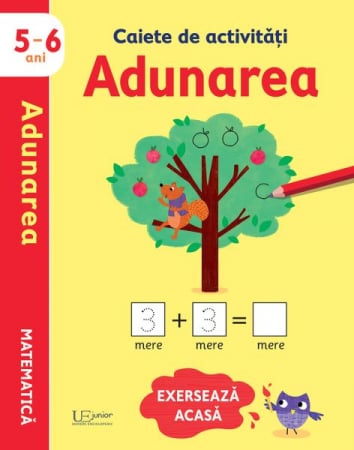 CĂRȚI CU ACTIVITĂȚI - Caiete de activitati. Adunarea 5-6 ani (Usborne)