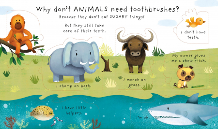 Carte cu clapete: Very First Questions and Answers Why Should I Brush My Teeth? [1]