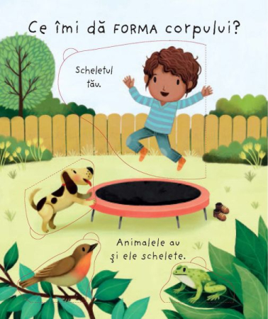 Ce se afla inauntrul meu? (Usborne) [3]