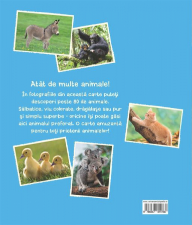 Cele mai indragite animale [3]