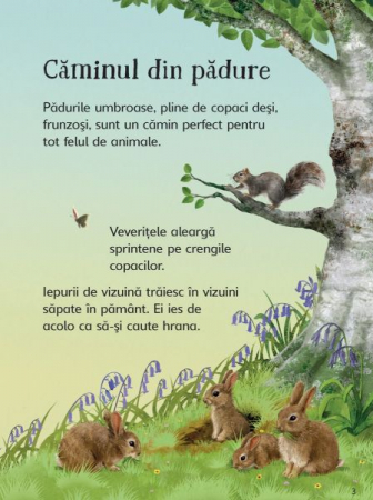 Cine traieste in padure? (Usborne) [2]