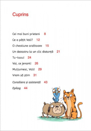 Cum pot folosi internetul pentru scoala? [2]