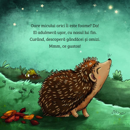 Invat despre natura. Ariciul [3]