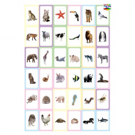 Joc educativ carduri cognitive 36 imagini- Animale, 2 ani+ [1]