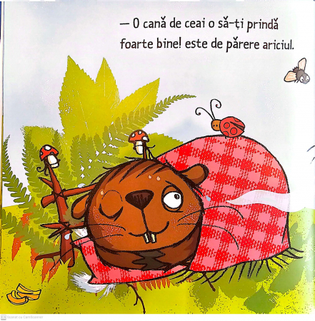 Micul castor are febra [2]