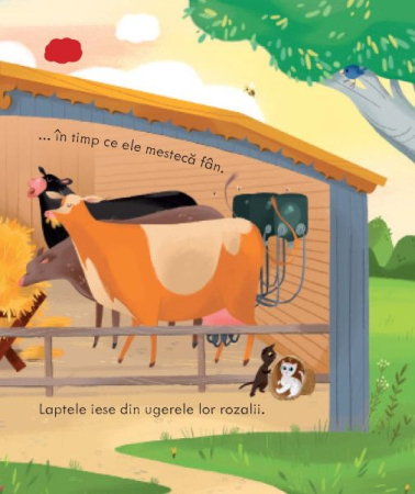 O ferma (Usborne) [4]