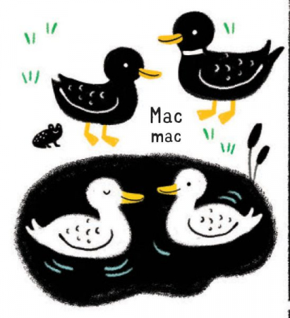 Primele mele carti Alb&Negru - Animalele (Usborne) [3]