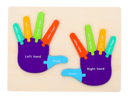 Puzzle de tip Montessori, Mana drepta si stanga, 12 piese, 3 ani+,  Multicolor [2]