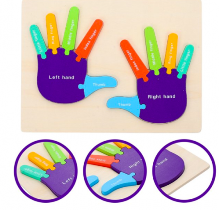 Puzzle de tip Montessori, Mana drepta si stanga, 12 piese, 3 ani+,  Multicolor [1]