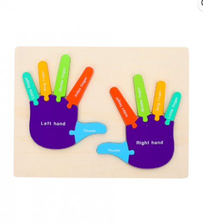 Puzzle de tip Montessori, Mana drepta si stanga, 12 piese, 3 ani+,  Multicolor [3]