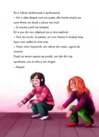 Ruby Fairygale si aurul spiridusilor [5]