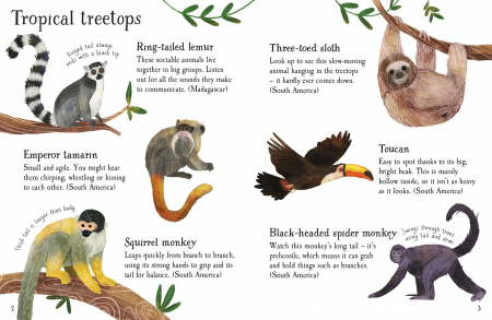 Zoo Animals to Spot- carte cu stickere [3]