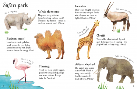 Zoo Animals to Spot- carte cu stickere [2]