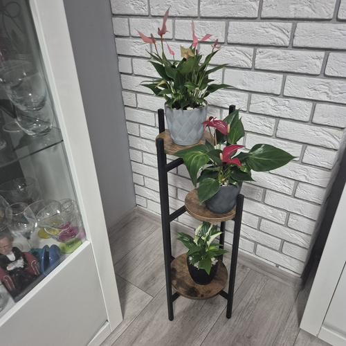 Etajera Suport Metalic pentru Flori cu 3 Nivele, Stil Loft Industrial, pentru Interior, Negru + Maro, 81 cm [3]