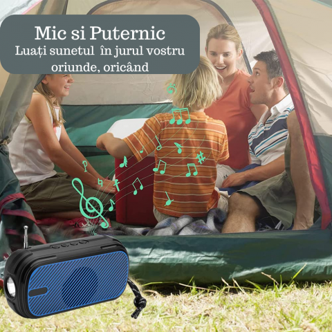 boxa portabila [1]