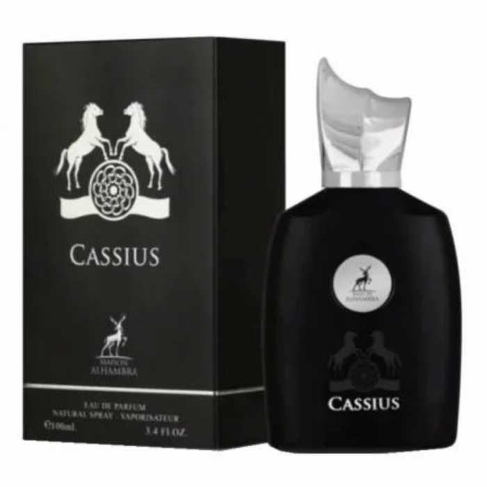 Cassius 100ml - Apa de Parfum, barbati [2]