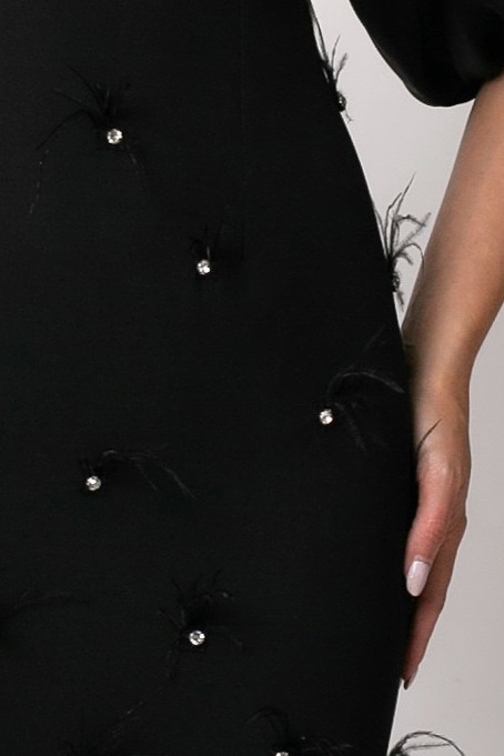 Rochie neagră elegantă accsorizată cu pene [5]