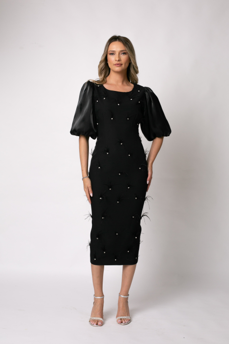 Rochie neagră elegantă accsorizată cu pene [4]