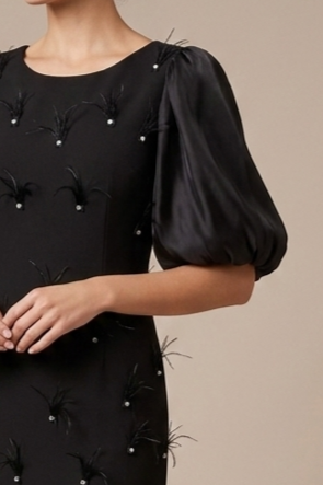 Rochie neagră elegantă accsorizată cu pene [2]