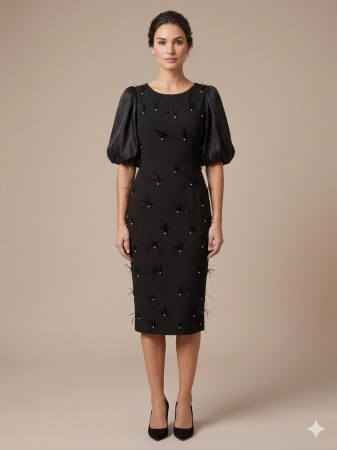 Rochie neagră elegantă accsorizată cu pene [1]