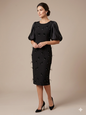 Rochie neagră elegantă accsorizată cu pene [5]