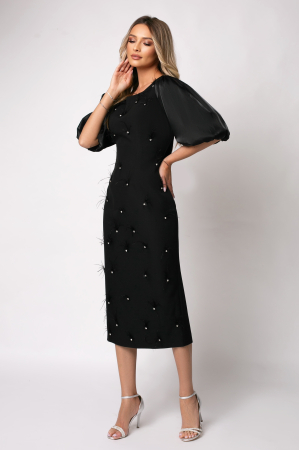 Rochie neagră elegantă accsorizată cu pene [1]